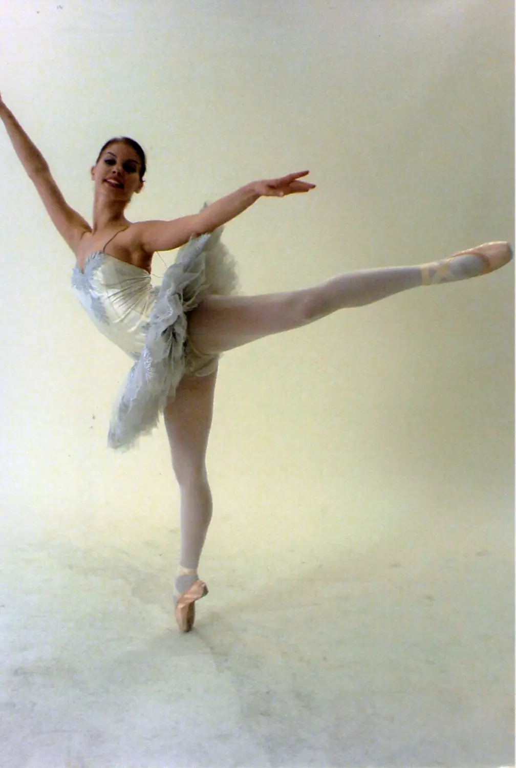 Ballett Hermann Tanzt